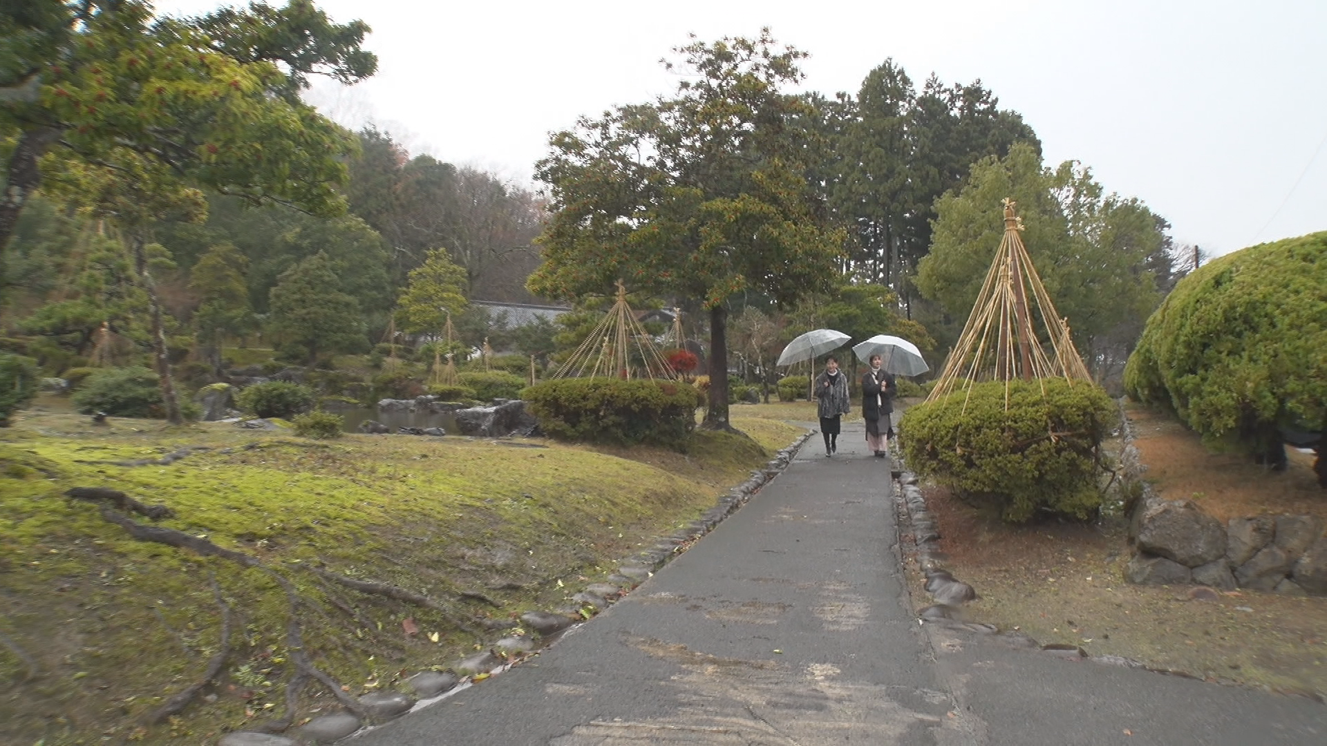 【野路由紀子 歌めぐり】越前市味真野地区 編